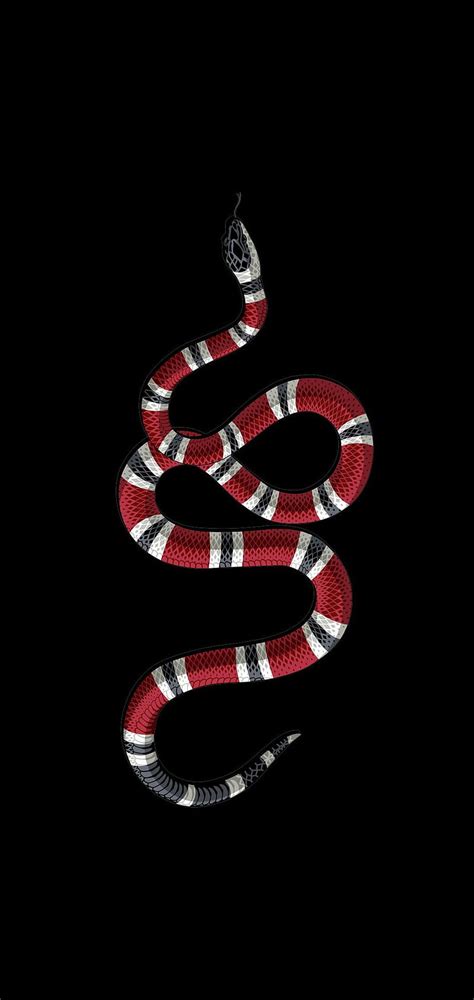 gucci snake video|More.